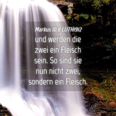 Picture 04 - Markus 10:8 LUTH1912 - und werden die zwei ein Fleisch sein. So sind sie - Bible Verse Picture