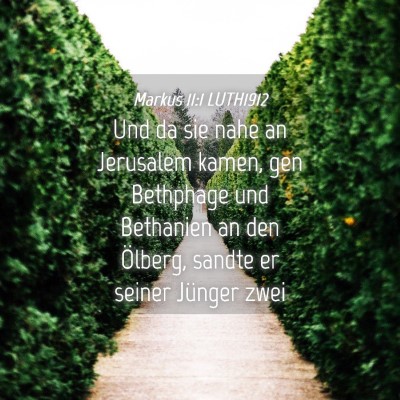 Picture 04 - Markus 11:1 LUTH1912 - Und da sie nahe an Jerusalem kamen, gen Bethphage - Bible Verse Picture