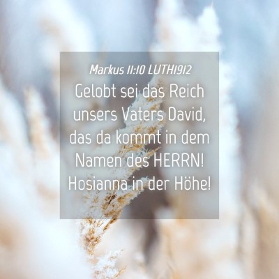 Picture 04 - Markus 11:10 LUTH1912 - Gelobt sei das Reich unsers Vaters David, das da - Bible Verse Picture