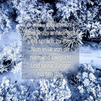 Picture 04 - Markus 11:14 LUTH1912 - Und Jesus antwortete und sprach zu ihm: Nun esse - Bible Verse Picture