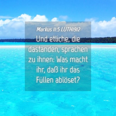 Picture 04 - Markus 11:5 LUTH1912 - Und etliche, die dastanden, sprachen zu ihnen: - Bible Verse Picture