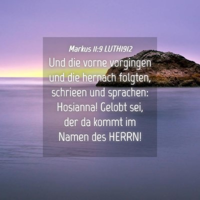Picture 04 - Markus 11:9 LUTH1912 - Und die vorne vorgingen und die hernach folgten, - Bible Verse Picture