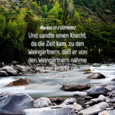 Picture 04 - Markus 12:2 LUTH1912 - Und sandte einen Knecht, da die Zeit kam, zu den - Bible Verse Picture