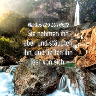 Picture 04 - Markus 12:3 LUTH1912 - Sie nahmen ihn aber und stäupten ihn, und - Bible Verse Picture