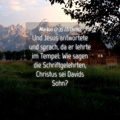 Picture 04 - Markus 12:35 LUTH1912 - Und Jesus antwortete und sprach, da er lehrte im - Bible Verse Picture