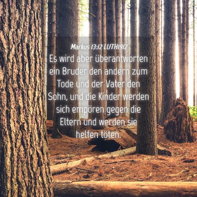 Picture 04 - Markus 13:12 LUTH1912 - Es wird aber überantworten ein Bruder den andern - Bible Verse Picture