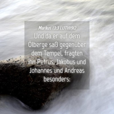Picture 04 - Markus 13:3 LUTH1912 - Und da er auf dem Ölberge saß gegenüber dem - Bible Verse Picture