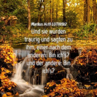 Picture 04 - Markus 14:19 LUTH1912 - Und sie wurden traurig und sagten zu ihm, einer - Bible Verse Picture