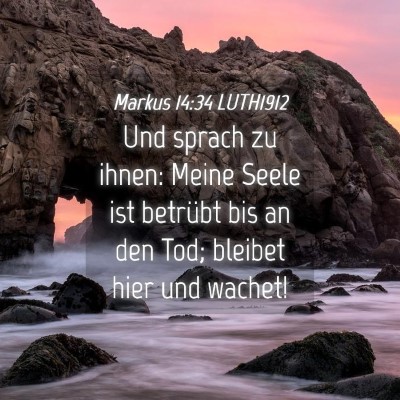 Picture 04 - Markus 14:34 LUTH1912 - Und sprach zu ihnen: Meine Seele ist betrübt bis - Bible Verse Picture