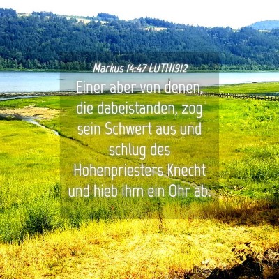 Picture 04 - Markus 14:47 LUTH1912 - Einer aber von denen, die dabeistanden, zog sein - Bible Verse Picture