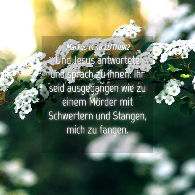 Picture 04 - Markus 14:48 LUTH1912 - Und Jesus antwortete und sprach zu ihnen: Ihr - Bible Verse Picture