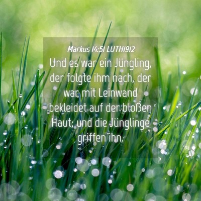 Picture 04 - Markus 14:51 LUTH1912 - Und es war ein Jüngling, der folgte ihm nach, - Bible Verse Picture
