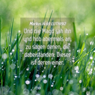 Picture 04 - Markus 14:69 LUTH1912 - Und die Magd sah ihn und hob abermals an, zu - Bible Verse Picture