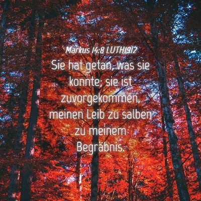 Picture 04 - Markus 14:8 LUTH1912 - Sie hat getan, was sie konnte; sie ist - Bible Verse Picture