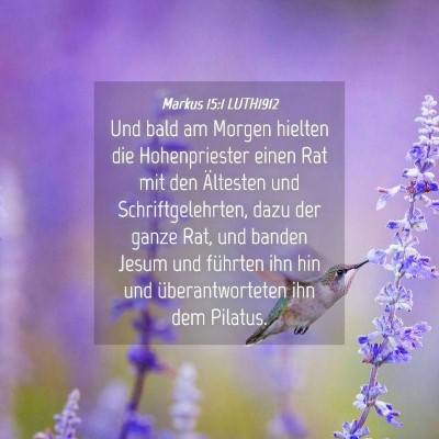 Picture 04 - Markus 15:1 LUTH1912 - Und bald am Morgen hielten die Hohenpriester - Bible Verse Picture