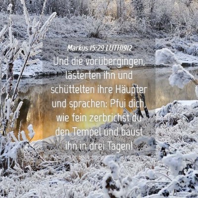 Picture 04 - Markus 15:29 LUTH1912 - Und die vorübergingen, lästerten ihn und - Bible Verse Picture