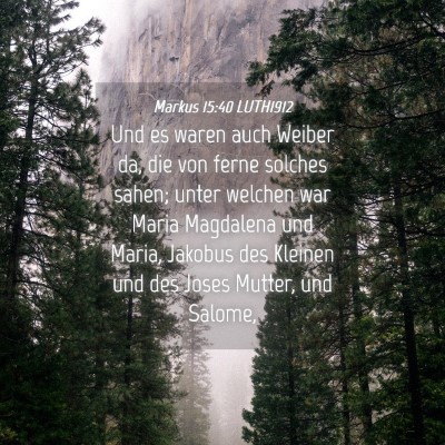 Picture 04 - Markus 15:40 LUTH1912 - Und es waren auch Weiber da, die von ferne - Bible Verse Picture