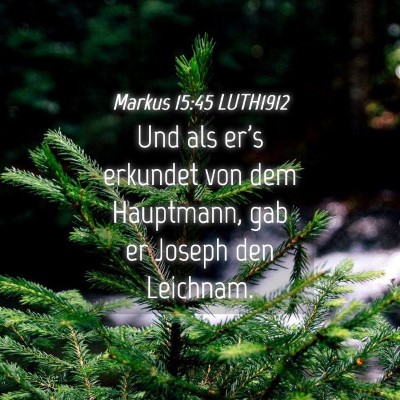 Picture 04 - Markus 15:45 LUTH1912 - Und als er's erkundet von dem Hauptmann, gab er - Bible Verse Picture