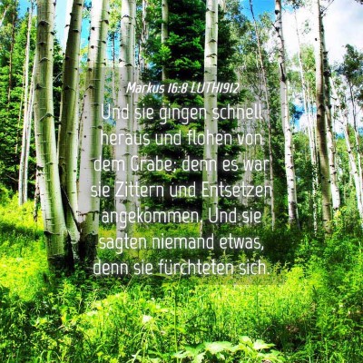 Picture 04 - Markus 16:8 LUTH1912 - Und sie gingen schnell heraus und flohen von dem - Bible Verse Picture