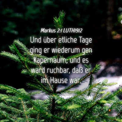 Picture 04 - Markus 2:1 LUTH1912 - Und über etliche Tage ging er wiederum gen - Bible Verse Picture