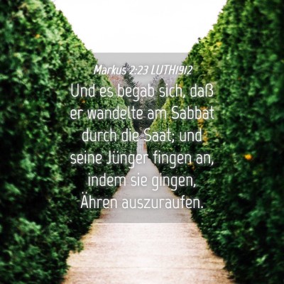 Picture 04 - Markus 2:23 LUTH1912 - Und es begab sich, daß er wandelte am Sabbat - Bible Verse Picture