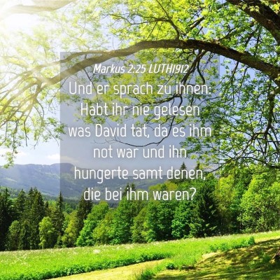 Picture 04 - Markus 2:25 LUTH1912 - Und er sprach zu ihnen: Habt ihr nie gelesen was - Bible Verse Picture