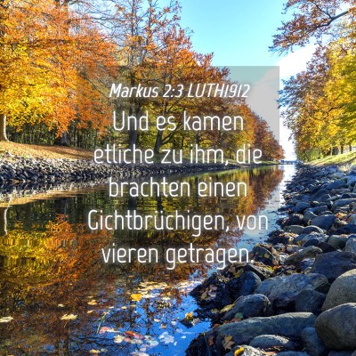Picture 04 - Markus 2:3 LUTH1912 - Und es kamen etliche zu ihm, die brachten einen - Bible Verse Picture