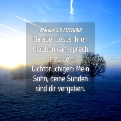 Picture 04 - Markus 2:5 LUTH1912 - Da aber Jesus ihren Glauben sah, sprach er zu dem - Bible Verse Picture