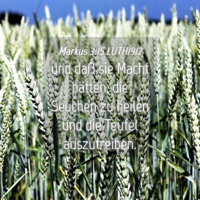 Picture 04 - Markus 3:15 LUTH1912 - und daß sie Macht hätten, die Seuchen zu heilen - Bible Verse Picture