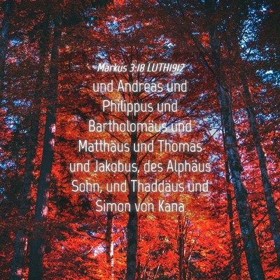 Picture 04 - Markus 3:18 LUTH1912 - und Andreas und Philippus und Bartholomäus und - Bible Verse Picture