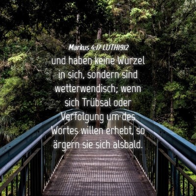 Picture 04 - Markus 4:17 LUTH1912 - und haben keine Wurzel in sich, sondern sind - Bible Verse Picture