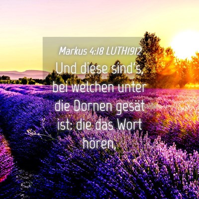 Picture 04 - Markus 4:18 LUTH1912 - Und diese sind's, bei welchen unter die Dornen - Bible Verse Picture