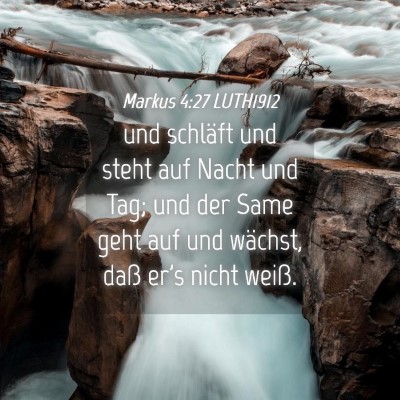 Picture 04 - Markus 4:27 LUTH1912 - und schläft und steht auf Nacht und Tag; und der - Bible Verse Picture