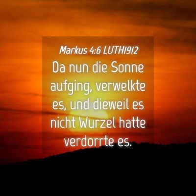 Picture 04 - Markus 4:6 LUTH1912 - Da nun die Sonne aufging, verwelkte es, und - Bible Verse Picture