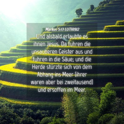 Picture 04 - Markus 5:13 LUTH1912 - Und alsbald erlaubte es ihnen Jesus. Da fuhren - Bible Verse Picture