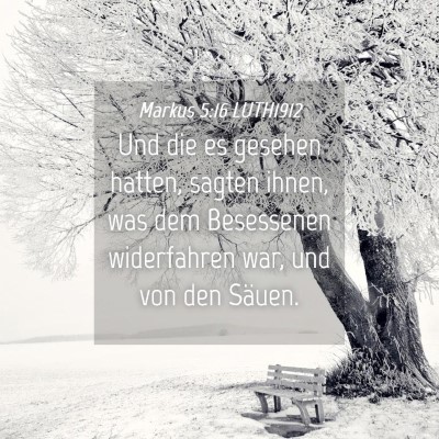 Picture 04 - Markus 5:16 LUTH1912 - Und die es gesehen hatten, sagten ihnen, was dem - Bible Verse Picture