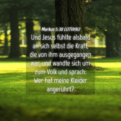 Picture 04 - Markus 5:30 LUTH1912 - Und Jesus fühlte alsbald an sich selbst die - Bible Verse Picture