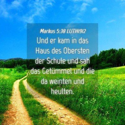 Picture 04 - Markus 5:38 LUTH1912 - Und er kam in das Haus des Obersten der Schule - Bible Verse Picture