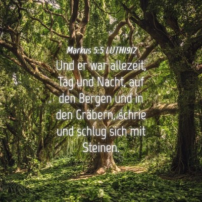 Picture 04 - Markus 5:5 LUTH1912 - Und er war allezeit, Tag und Nacht, auf den - Bible Verse Picture