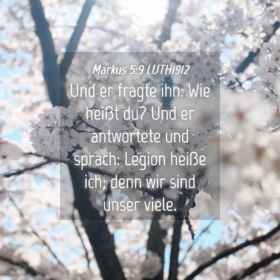 Picture 04 - Markus 5:9 LUTH1912 - Und er fragte ihn: Wie heißt du? Und er - Bible Verse Picture