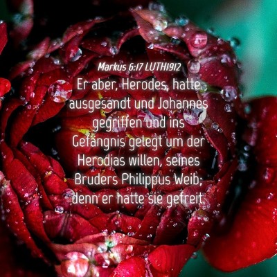 Picture 04 - Markus 6:17 LUTH1912 - Er aber, Herodes, hatte ausgesandt und Johannes - Bible Verse Picture