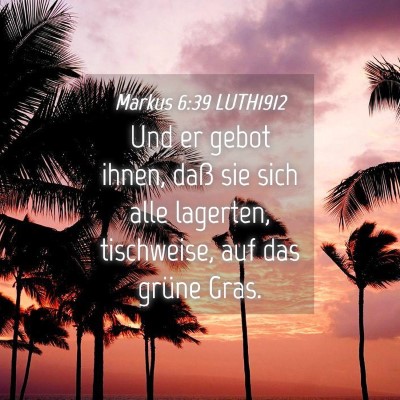 Picture 04 - Markus 6:39 LUTH1912 - Und er gebot ihnen, daß sie sich alle lagerten, - Bible Verse Picture