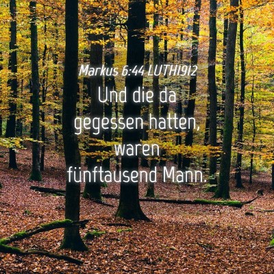 Picture 04 - Markus 6:44 LUTH1912 - Und die da gegessen hatten, waren fünftausend - Bible Verse Picture