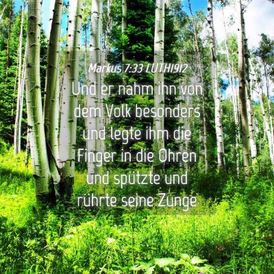Picture 04 - Markus 7:33 LUTH1912 - Und er nahm ihn von dem Volk besonders und legte - Bible Verse Picture