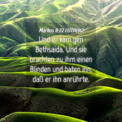 Picture 04 - Markus 8:22 LUTH1912 - Und er kam gen Bethsaida. Und sie brachten zu ihm - Bible Verse Picture