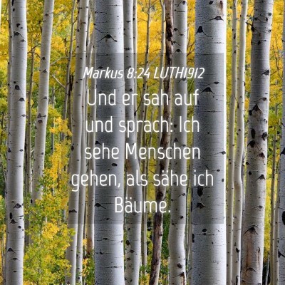 Picture 04 - Markus 8:24 LUTH1912 - Und er sah auf und sprach: Ich sehe Menschen - Bible Verse Picture