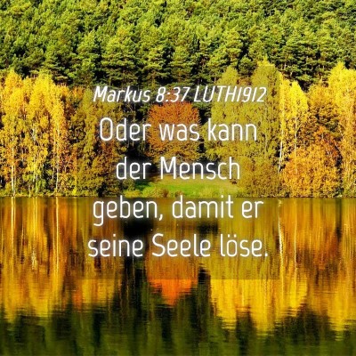 Picture 04 - Markus 8:37 LUTH1912 - Oder was kann der Mensch geben, damit er seine - Bible Verse Picture