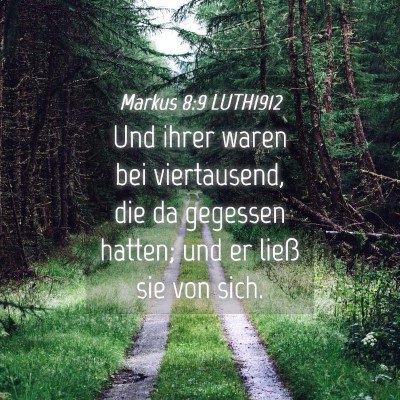 Picture 04 - Markus 8:9 LUTH1912 - Und ihrer waren bei viertausend, die da gegessen - Bible Verse Picture