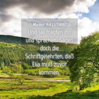 Picture 04 - Markus 9:11 LUTH1912 - Und sie fragten ihn und sprachen: Sagen doch die - Bible Verse Picture