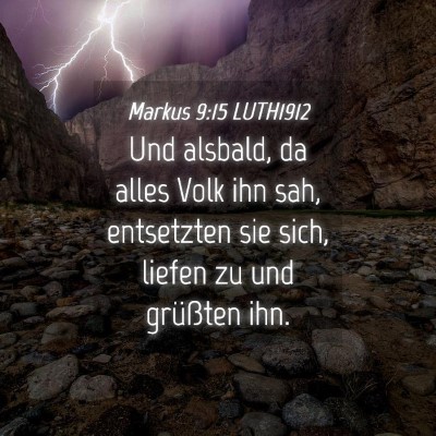 Picture 04 - Markus 9:15 LUTH1912 - Und alsbald, da alles Volk ihn sah, entsetzten - Bible Verse Picture